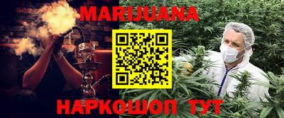 мяу мяу мука Кингисепп